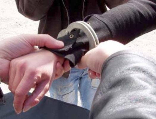 Un român pledează vinovat pentru tentativă de răpire
